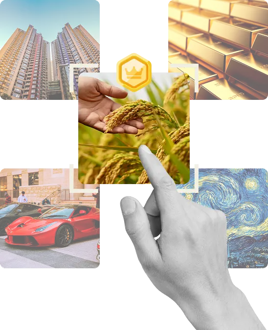 Asset Tokenization